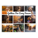 Search for golden retriever calendars Puppies