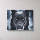 Search for shepherd canvas prints Animals
