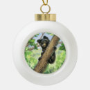 Search for outdoorsman ornaments Nature