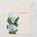 Search for calla lily save the dates Rustic
