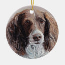 Search for english springer spaniel ornaments Puppy