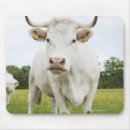 Search for grassy mousepads Animal