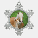 Search for pony ornaments Funny