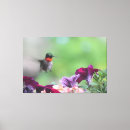 Search for hummingbird art Purple