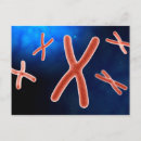 Recherche de chromosome cartes postales Acides nucléiques