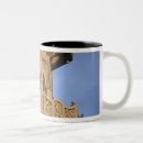 Search for minaret mugs Architecture