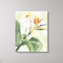 Search for bird canvas prints Colourful