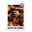 Recherche de randonnée magnets Escalade de montagne