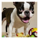 Recherche de de chien posters Terrier