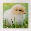 Recherche de poussins puzzles Chic