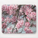 Search for pink tree blossoms mousepads Flowers