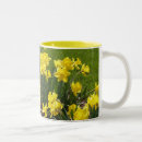 Search for daffodils pictures mugs Garden