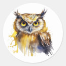 Search for colourful owl stickers Cute