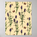 Search for herb illustration posters Floral