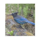 Recherche de habitat blocsnotes Animal