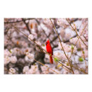 Search for cherry tree art Bird