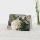 Recherche de salutation vide de fleur Fleurs