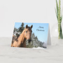 Search for horse lover christmas cards Snow