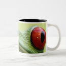 Search for red eyed tree frog mugs Nature