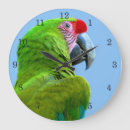 Recherche de aras horloges Bleu