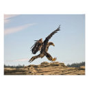 Search for graduate photo posters Teacher