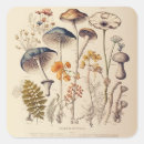 Search for vintage mushroom stickers Nature