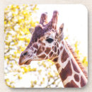 Search for giraffe coasters Trees