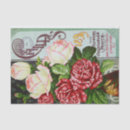 Search for 1899 Seeds