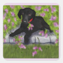 Search for dog tag stickers Animal