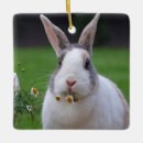Search for dutch rabbit decor Animal