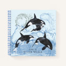 Search for orca notebooks Killer whale
