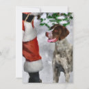 Search for german shorthaired pointer christmas cards Dog