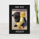 Recherche de rat vœux cartes Photographie