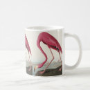 Search for james drinkware John james audubon
