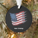 Search for fighter jet ornaments Usa