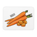 Search for carrot carrots magnets Orange