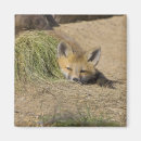 Search for breckenridge magnets Usa