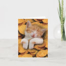 Search for cat hanukkah cards Cute