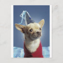 Search for dog party invitations Chihuahua