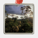 Search for conservative ornaments Green