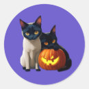 Search for cat pumpkin stickers Cute