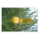 Recherche de manitoba posters Nature