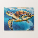 Search for sea turtles puzzles Colourful