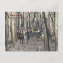 Search for daughters horizontal postcards Photography