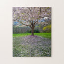 Recherche de arbre de fleurs de cerisier puzzles Cerisiers
