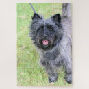 Recherche de broches puzzles Cairn