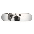 Search for bulldog skateboards Pet