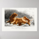 Recherche de cuill art Lion