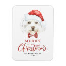 Recherche de hat christmas vœux cartes Chien