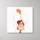 Recherche de anatomie de bouche posters Image numériquement produite